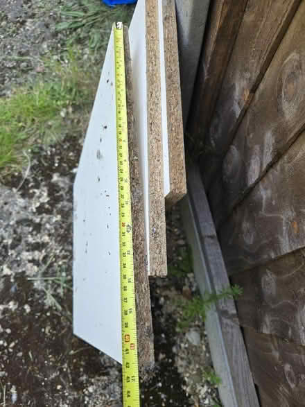 Photo of free Wood (St Albans) #2