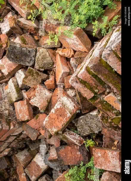 Photo of Red bricks sitting in expensive skip? (Woodley RG5) #1