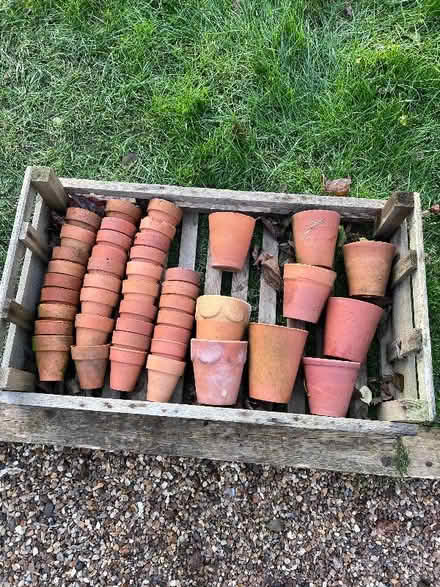 Photo of free Terracotta Pots & Crate Some Chipped Mini And Small Sizes (Great Dunham PE32) #1