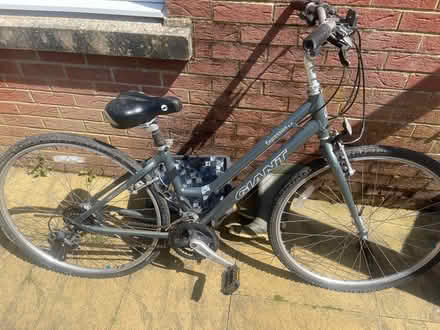 Photo of free Adult Bike (Hellingly) #1