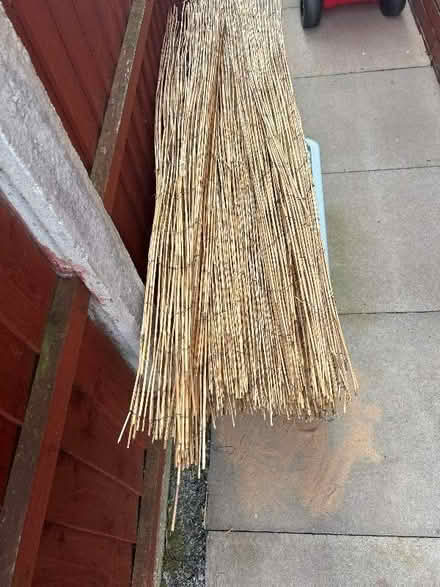Photo of free Fence cover (Westbrook WA5) #1