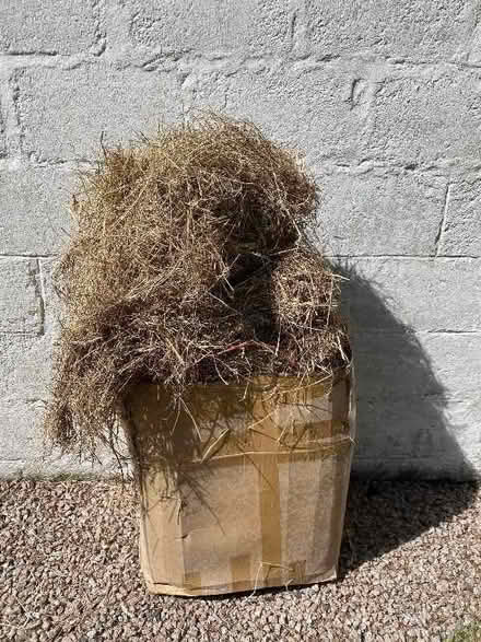 Photo of free A box of hay (AB21) #1