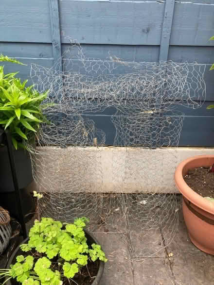 Photo of free Chicken wire, 3x pieces (Handforth, SK9) #1
