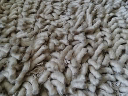 Photo of free Laura Ashley Wool Rug (Bathampton) #2