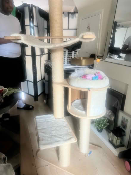 Photo of free Cat post (Yeading, Hayes UB4) #3