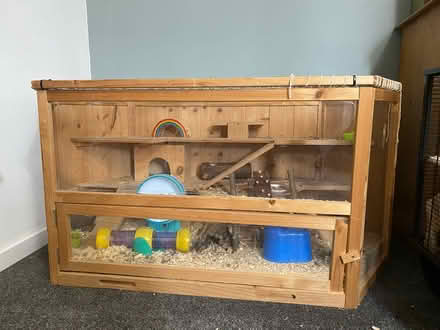 Photo of free Hamster/mice/gerbil cage (NG10) (NG10 (Sandiacre)) #1