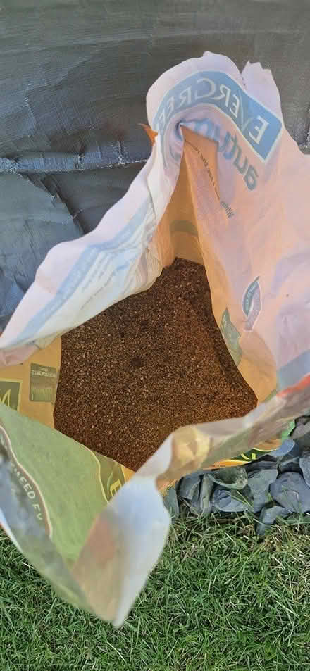 Photo of free Autumn evergreen lawn treatment (TN40 chantry Bexhill) #2