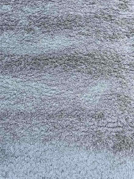 Photo of free Thick Rug (Seaford BN25) #1