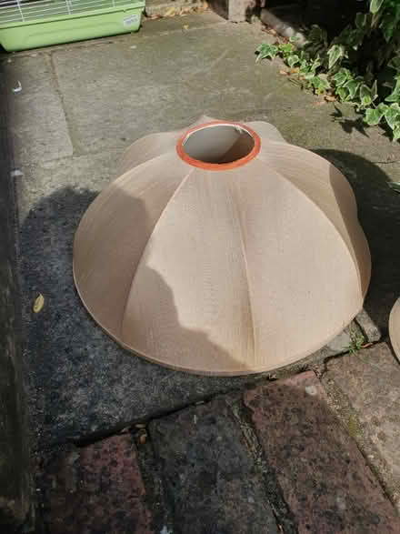 Photo of free 4 lampe shades (North Road N7) #4