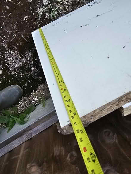 Photo of free Wood (St Albans) #3