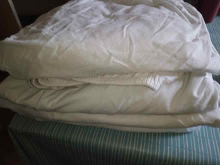 Photo of free Cot bedding - fitted sheets and mattress protectors (Newtown RG1) #1