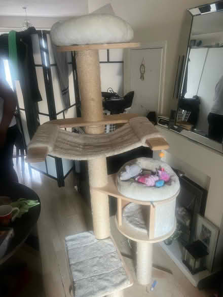 Photo of free Cat post (Yeading, Hayes UB4) #2