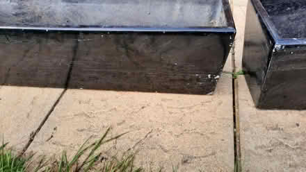 Photo of free Pair of black gloss fibreglass planters (Emmbrook RG41) #2