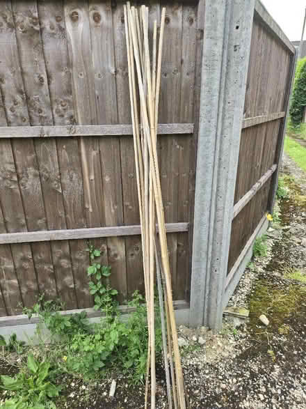 Photo of free Bamboo poles 11 x 180 cm (St Albans) #1