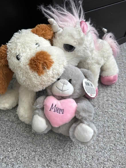 Photo of free 3 x Small Cuddly Toys (Cramlington NE23) #1