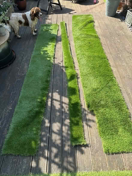 Photo of free Fake grass offcuts (The Lakes ME20) #1