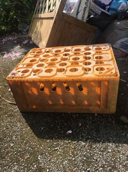 Photo of free Beer bottle crate (HG2) #1