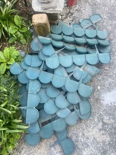 Photo of free Green Border Edging (Ballywalter BT22) #3