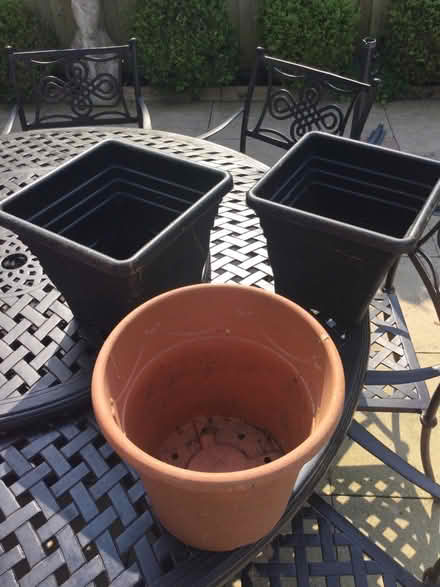 Photo of free Plastic plant pots (AL1) #1