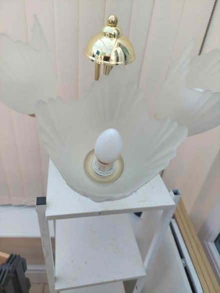 Photo of free 2x ceiling lights (SK11) #3