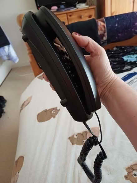 Photo of free Wall mounted corded telephone never been used (Marldon TQ3) #3