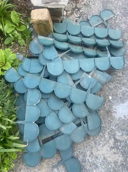 Photo of free Green Border Edging (Ballywalter BT22) #4