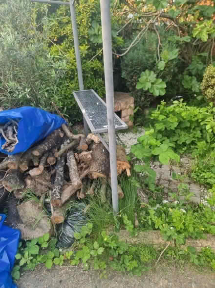 Photo of free Canopy/gazebo style frame (N14) #3