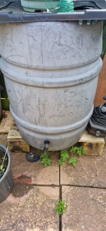 Photo of free Water butt (Blackbird Leys OX4) #1