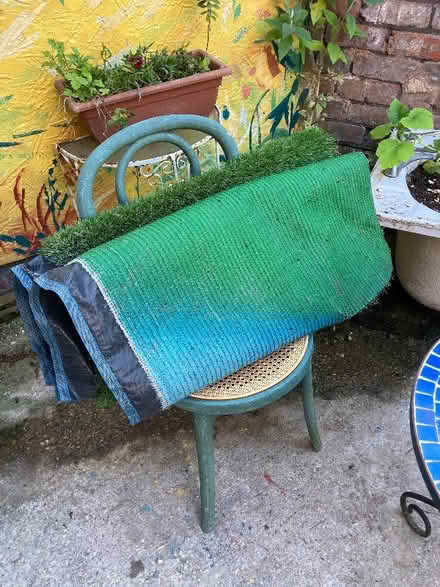 Photo of free Fake grass (Egremont CH44) #1