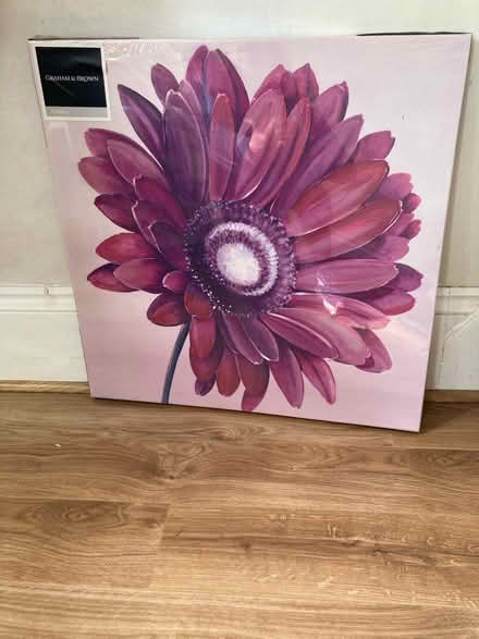Photo of free Gerbera Canvas - 60 x 60 cm (Cowplain PO8) #1