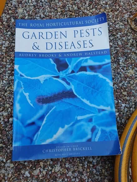 Photo of free Garden stuff (Allington ME16) #4