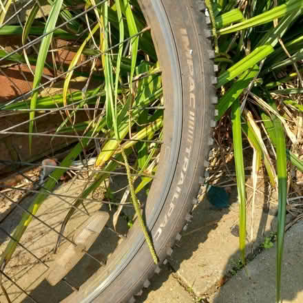 Photo of free 2 x trailpac mountain bike wheels (Hitchin SG5) #3
