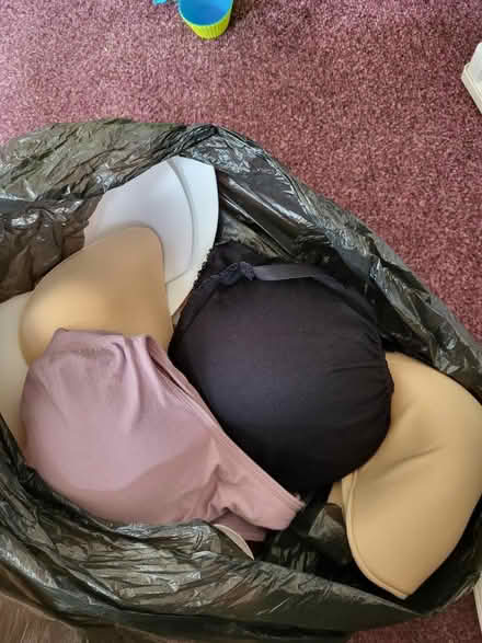 Photo of free Tits n bras (PR2) #1