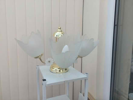Photo of free 2x ceiling lights (SK11) #1