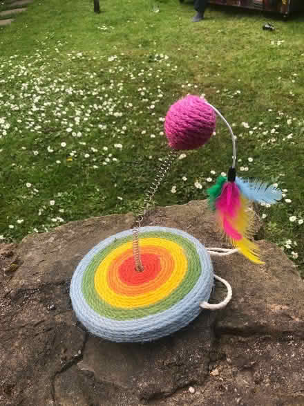Photo of free Cat scratcher and toy (Greystones S11) #1