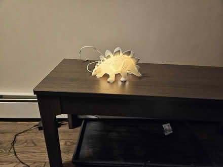 Photo of free Stegasaurus Night Light (Pine Bush) #2