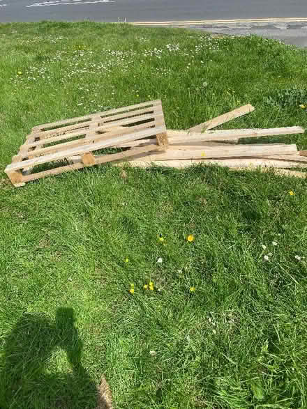 Photo of free Pallet and wood (Emmer Green RG4) #1