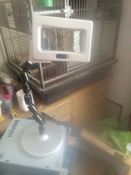 Photo of free magnifying glass on stand (PO12) #1