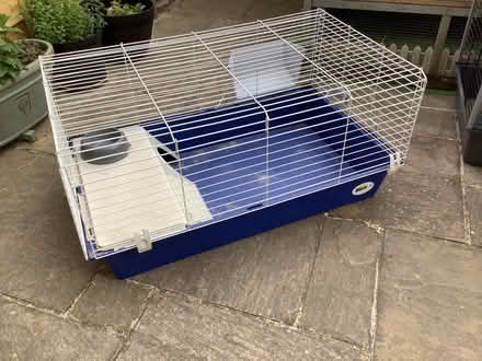 Photo of free Indoor guinea pig/rabbit hutch (Harrogate HG1) #1