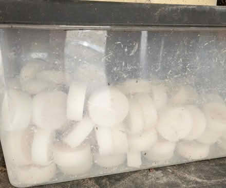 Photo of free Glass vase/candle holder and candles (Paignton TQ4) #2