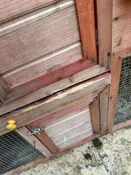Photo of free Animal hutch (Birmingham Tyseley B11) #4