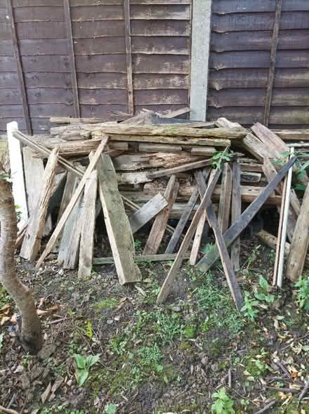 Photo of free Wood. Logs for log fire. (Spring Grove TW7) #2