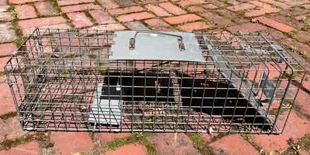 Photo of free 2 Havahart Traps (Inman Square) #1
