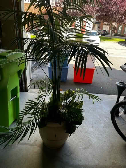 Photo of free Totes (Aldie) #2