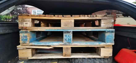 Photo of free 1 pallets (Coulsdon CR5) #2