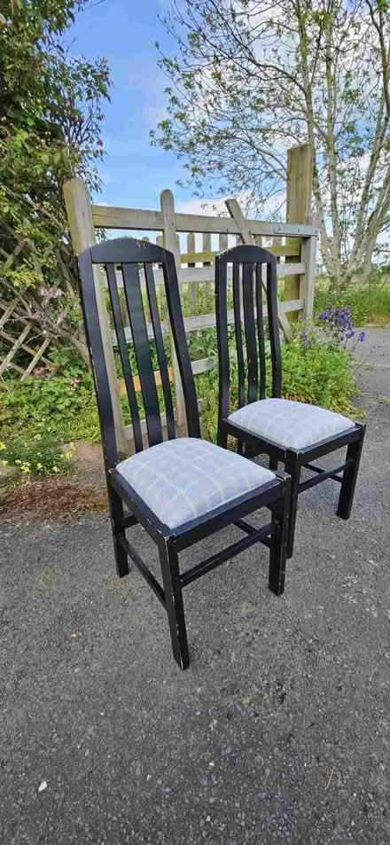 Photo of free 6 Dining chairs (Little Witley CP WR6) #1