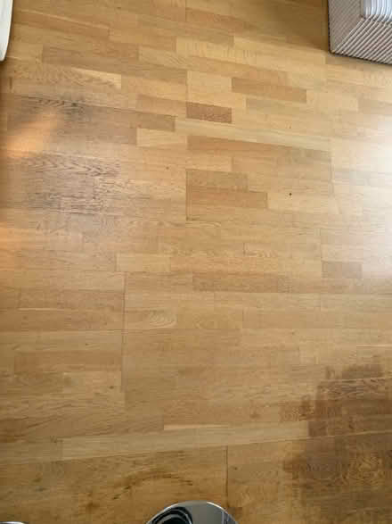 Photo of free Hardwood Flooring (Liverpool L15) #1