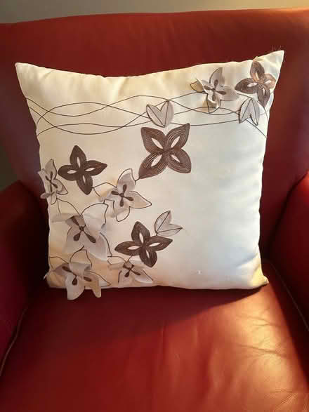 Photo of free Throw pillow (Mississauga, Meadowvale) #1