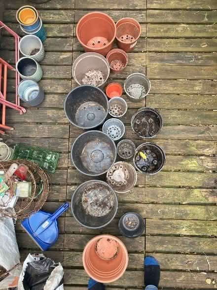 Photo of free Mixed plastic pots (Abbeville Village SW4) #2