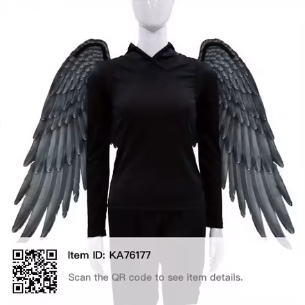 Photo of free Black Cosplay Costume Angel Wings (Springfield Union Station) #1